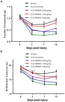 Therapeutic Effect of the Substrate-Selective COX-2 Inhibitor IMMA in the Animal Model of Chronic Constriction Injury